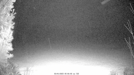 Image from 2025-03-04