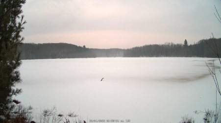 Image from 2025-03-04