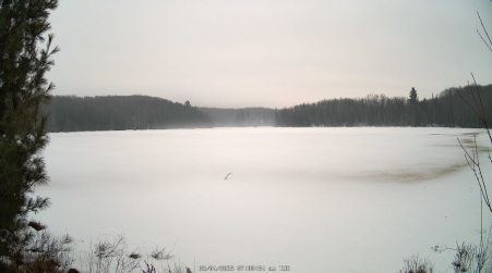 Image from 2025-03-04