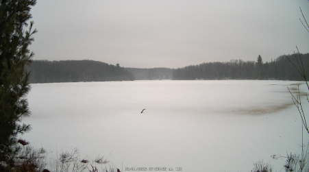 Image from 2025-03-04