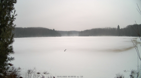 Image from 2025-03-04