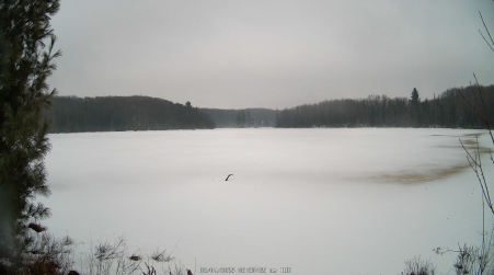 Image from 2025-03-04