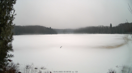 Image from 2025-03-04