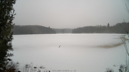 Image from 2025-03-04