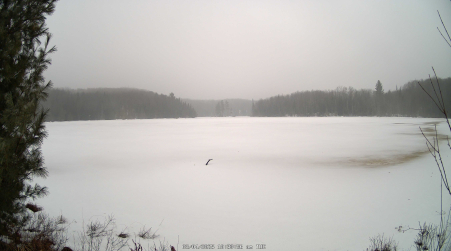 Image from 2025-03-04
