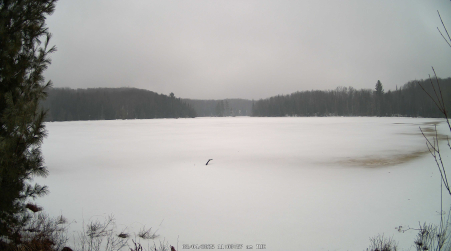 Image from 2025-03-04