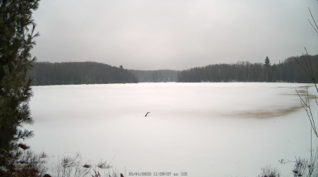 Image from 2025-03-04