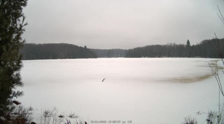 Image from 2025-03-04