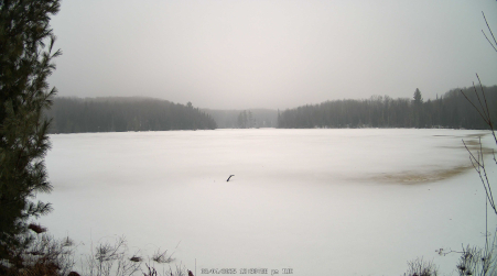 Image from 2025-03-04