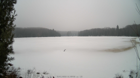 Image from 2025-03-04