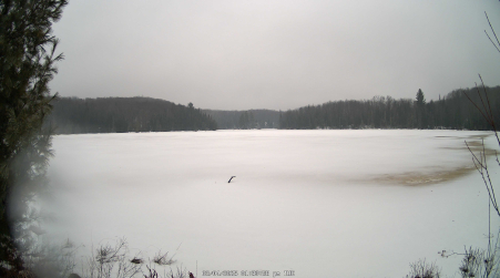 Image from 2025-03-04
