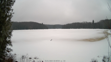 Image from 2025-03-04