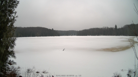 Image from 2025-03-04
