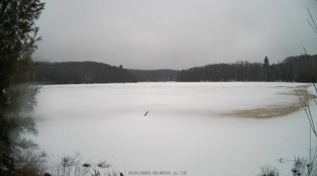 Image from 2025-03-04