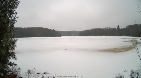 Image from 2025-03-04