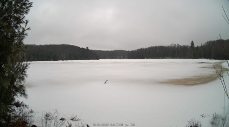 Image from 2025-03-04