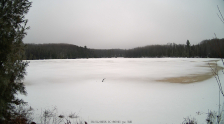 Image from 2025-03-04