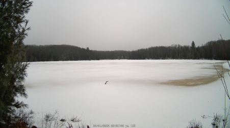 Image from 2025-03-04