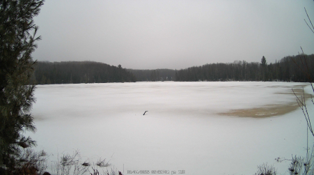 Image from 2025-03-04
