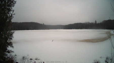 Image from 2025-03-04