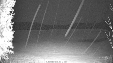 Image from 2025-03-04