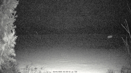 Image from 2025-03-04