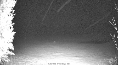 Image from 2025-03-04