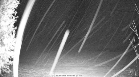Image from 2025-03-04