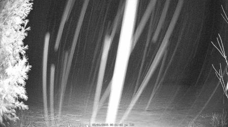 Image from 2025-03-04