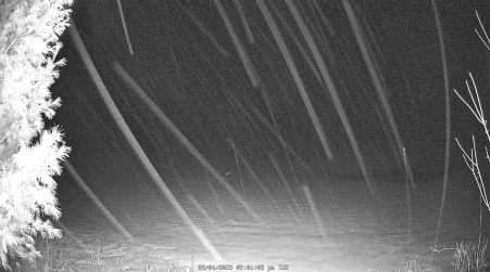 Image from 2025-03-04