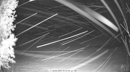 Image from 2025-03-04