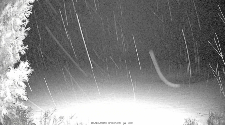 Image from 2025-03-04