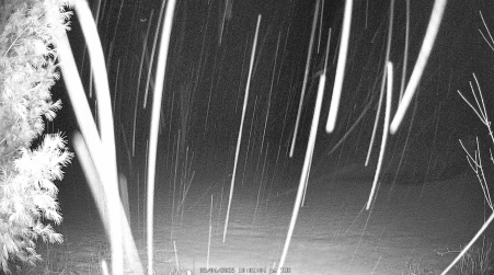 Image from 2025-03-04