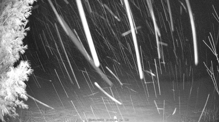Image from 2025-03-04