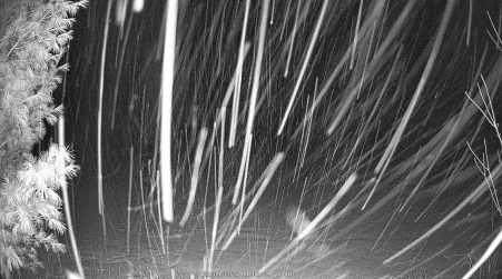 Image from 2025-03-04