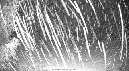 Image from 2025-03-04