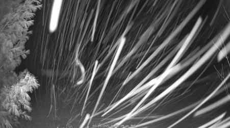 Image from 2025-03-04