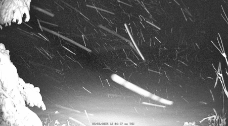 Image from 2025-03-06