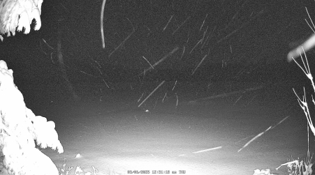 Image from 2025-03-06