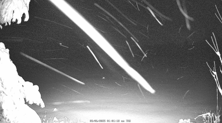 Image from 2025-03-06