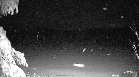 Image from 2025-03-06