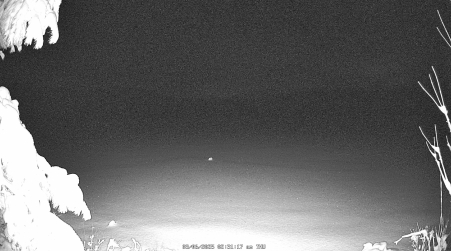 Image from 2025-03-06