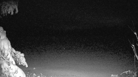 Image from 2025-03-06