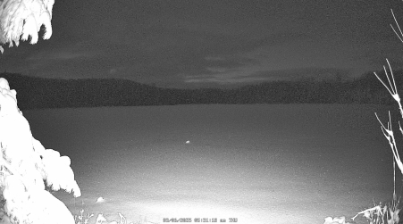 Image from 2025-03-06