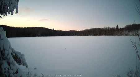 Image from 2025-03-06