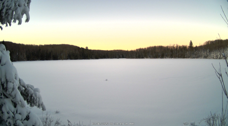 Image from 2025-03-06