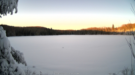 Image from 2025-03-06
