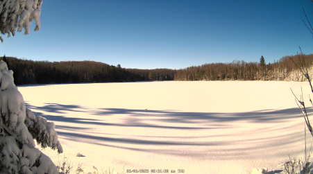 Image from 2025-03-06