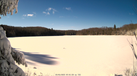 Image from 2025-03-06