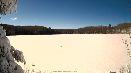 Image from 2025-03-06